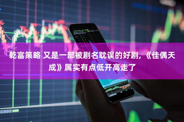 乾富策略 又是一部被剧名耽误的好剧, 《佳偶天成》属实有点低开高走了